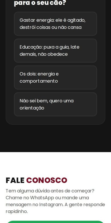 Quiz do plano ideal da AtivaDog